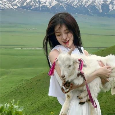 家有儿女之神犬当家