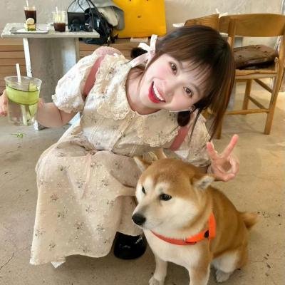 节日开始了